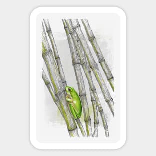 cute green frog on bamboo Sticker